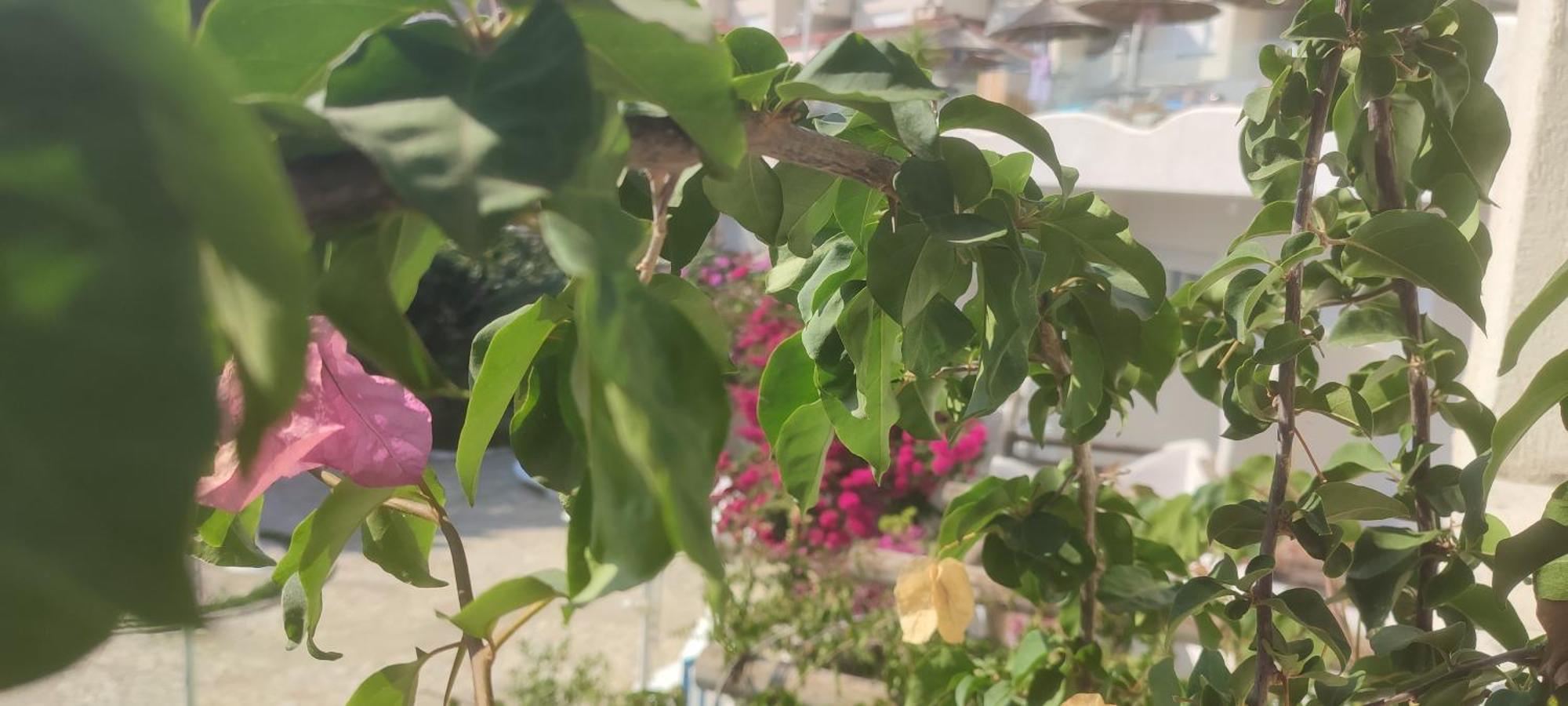 Sea Breeze Apartment Bougainville Bay Sarandë Eksteriør billede