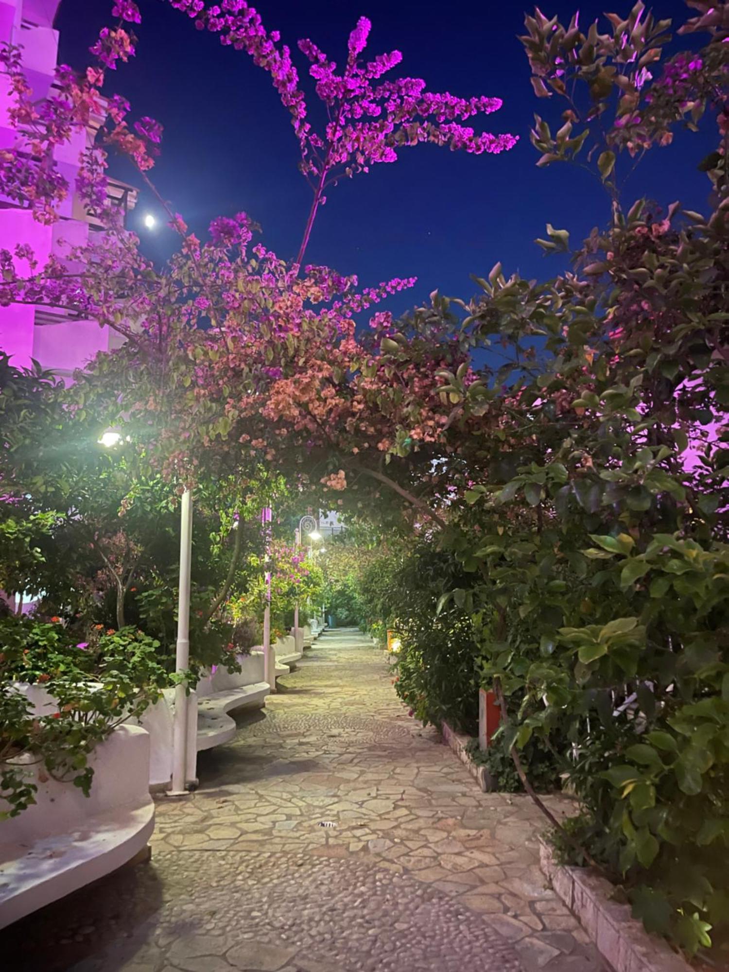 Sea Breeze Apartment Bougainville Bay Sarandë Eksteriør billede